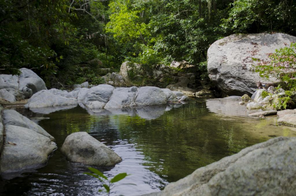 Вілла Tayrona Paradise Ель-Зайно Екстер'єр фото