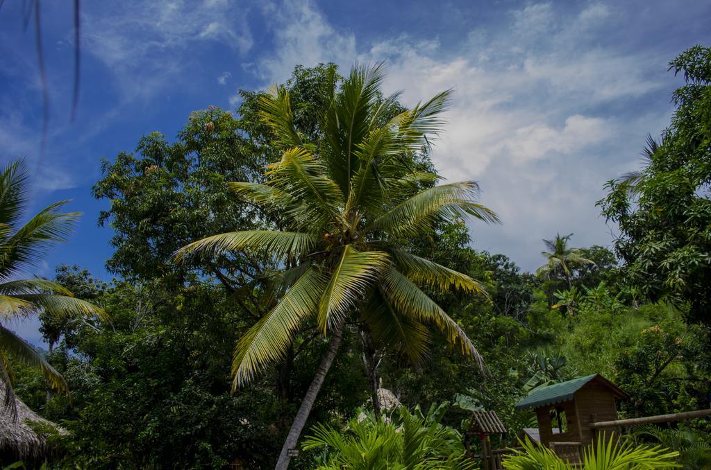 Вілла Tayrona Paradise Ель-Зайно Екстер'єр фото